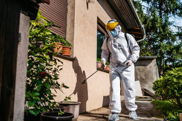 Wasp Removal Services in Mcalester, OK