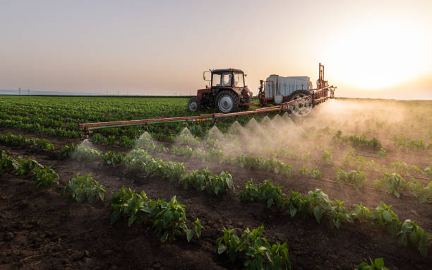 Pest Control Cost in Mcalester, OK