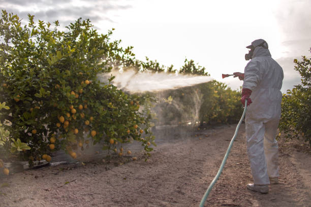 Flea Control Services in Mcalester, OK