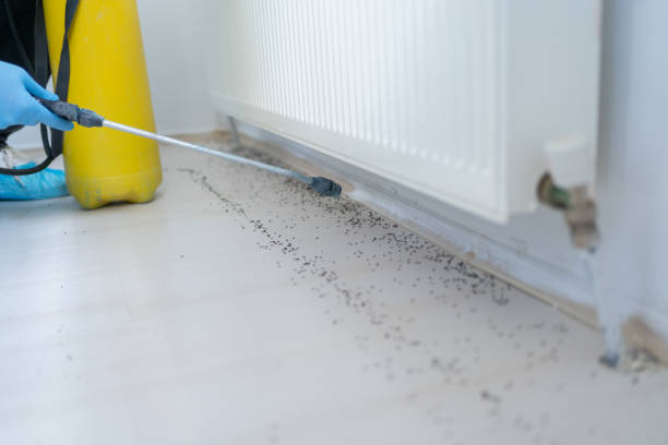 Best Commercial Pest Control Services  in Mcalester, OK