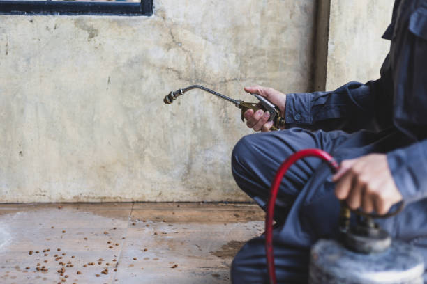 Best Termite Control Services  in Mcalester, OK